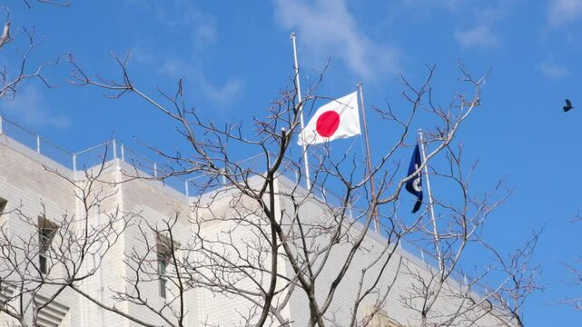 日本、大阪市、大阪府庁舎本館、建造物、日本の国旗、日章旗、日の丸、国旗、大正、近畿、大阪府、青空