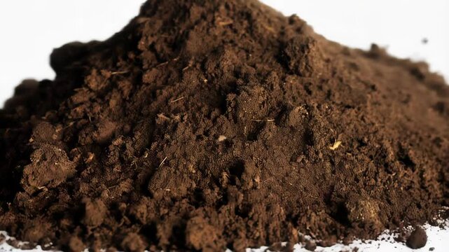 Close-up pile of rich dark brown soil on white background highlighting texture and organic matter for gardening concepts