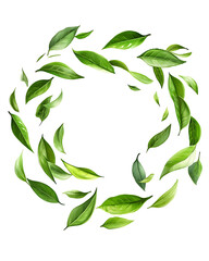 Refreshing Green Tea Leaves and Brewed Drink: Natural, Healthy, and Antioxidant-Rich Beverage