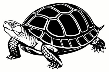 Fototapeta premium box turtle sihouette black vector