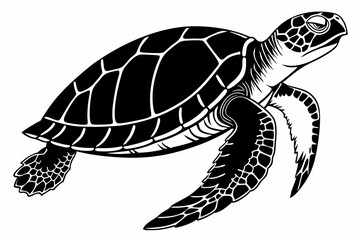 Fototapeta premium box turtle sihouette black vector