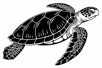 Fototapeta premium box turtle sihouette black vector