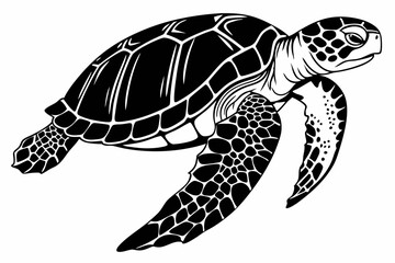 Obraz premium box turtle sihouette black vector