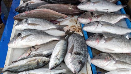 Obraz premium Fresh fish on display at market