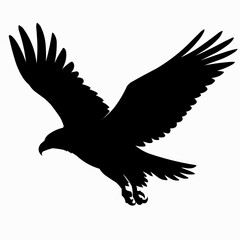 Obraz premium Silhouette image of bald eagle flying