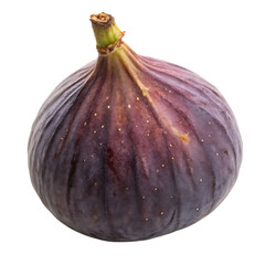 Close-up of a single ripe fresh fig fruit with deep purple skin and a green stem on a white background