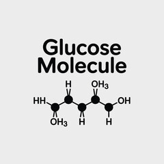 Glucose Molecule Structure Diagram Simple Illustration