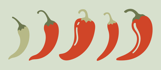 Five Colorful Chili Peppers in a Row Illustration