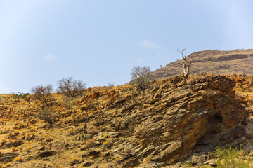 Stony hills with succulent plants near Remhoogte Pass, Namibia