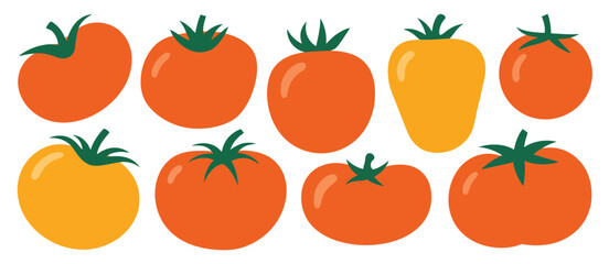 Collection of Colorful Tomatoes Illustration