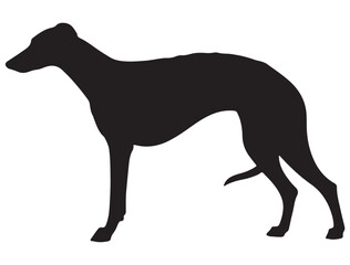 GREYHOUND DOG SILHOUETTE