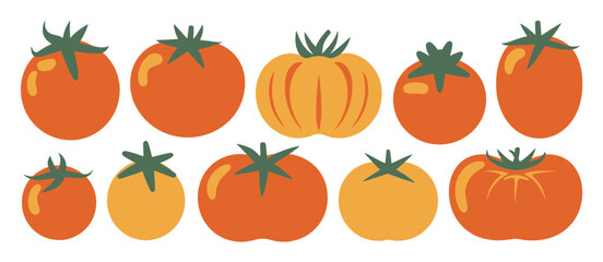 Collection of Colorful Tomatoes Illustration