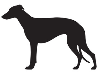 GREYHOUND DOG SILHOUETTE