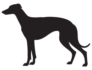 GREYHOUND DOG SILHOUETTE