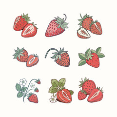 Strawberry icon set vector, strawberry art, strawberry logo. 