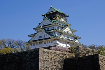 日本、大阪、大阪城、桜、花、金城、大阪城公园、日本の城、特別史跡、輪郭式平城、天守、庭園、春、歷史名勝、綠色、風景、青空、初夏、写真素材	

