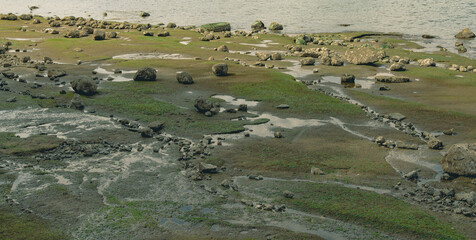 Rocky Intertidal Shoreline at Low Tide Near Stanley Park Seawall