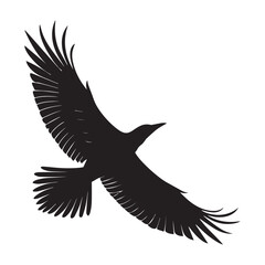 Obraz premium Black silhouette of a bird in flight wings spread wide