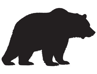 Fototapeta premium GRIZZLY BEAR SILHOUETTE
