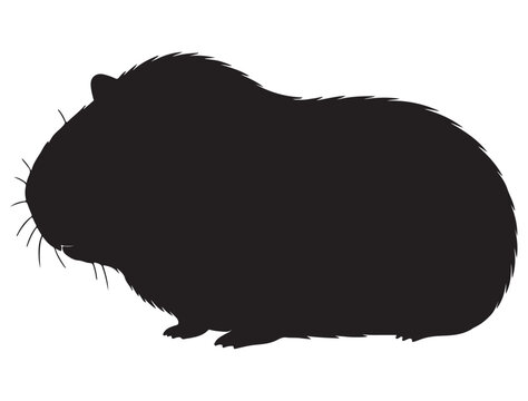 black guinea pig silhouette on white clip art preview