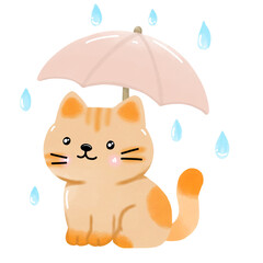 cat and umbrella