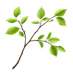 Fototapeta premium Illustration of a branch with green leaves isolated on a black background depicting natural beauty and springtime growth