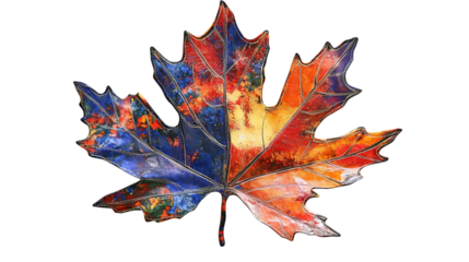 Colorful autumn maple leaf png