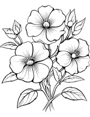 Black and white color pages