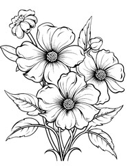 Black and white color pages