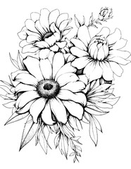 Black and white color pages