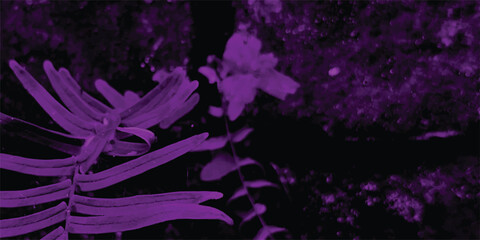 Moody artistic display of botanical elements in purple tones featuring fern-like foliage and floral components creating a unique and stylized natural aesthetic. © Brainless