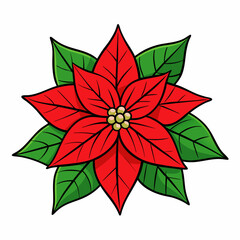 christmas flower poinsettia