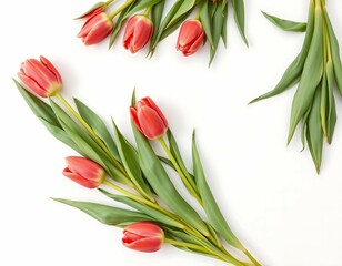 Obraz premium Arrangement of Red Tulips with Green Leaves on White Background