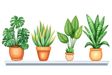 Fototapeta premium Display of vibrant houseplants arranged on a clean shelf in a bright, inviting interior space showcasing various green foliage varieties