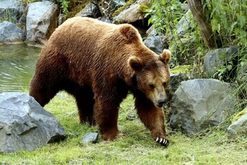 ours