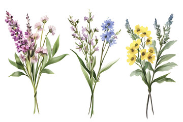 Fototapeta premium Watercolor wildflower bouquets delicate floral illustration on transparent background