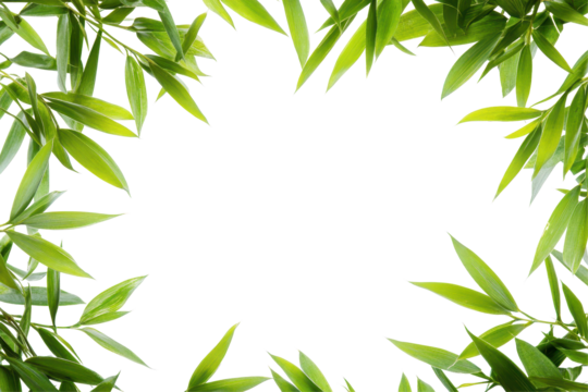 Vibrant crop field of wheat forming a border frame with green leaves creating a natural artistic touch