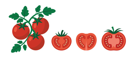 Fresh Red Tomatoes on the Vine with Slices