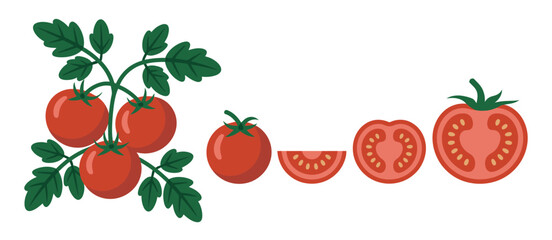 Fresh Red Tomatoes on the Vine with Slices