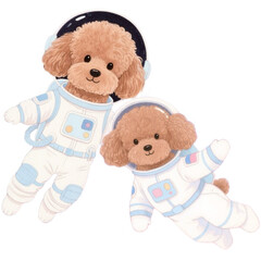 จากการเลือก