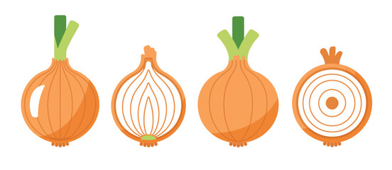 Illustration of Onions Stages Whole Halved and Sliced