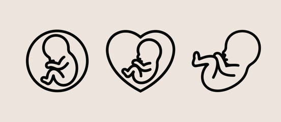 Fetal Development Stages Three Simple Line Art Illustrations