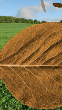 Leaves 2 Styles Vertical Transitions 2 MOGRT 434