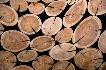 seat composed of tree-trunks