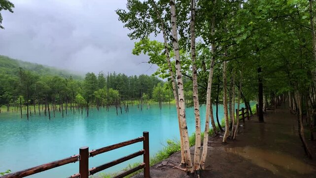 Misty view of Biei Blue Pond with vivid turquoise water and lush green forest