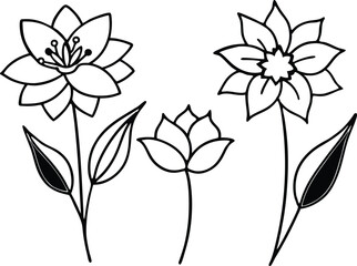 Floral line art, flower outline silhouette set vector design