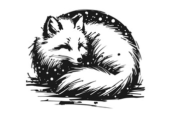 Arctic Fox hand drawn vector illustration