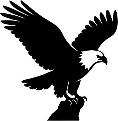vector illustration silhouette of an eagle, isolated on white