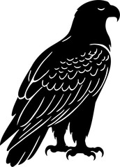 vector illustration silhouette of an eagle, isolated on white