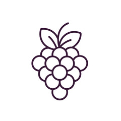 vector illustration of grapes